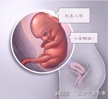 包生男孩助孕机构代生供卵医院